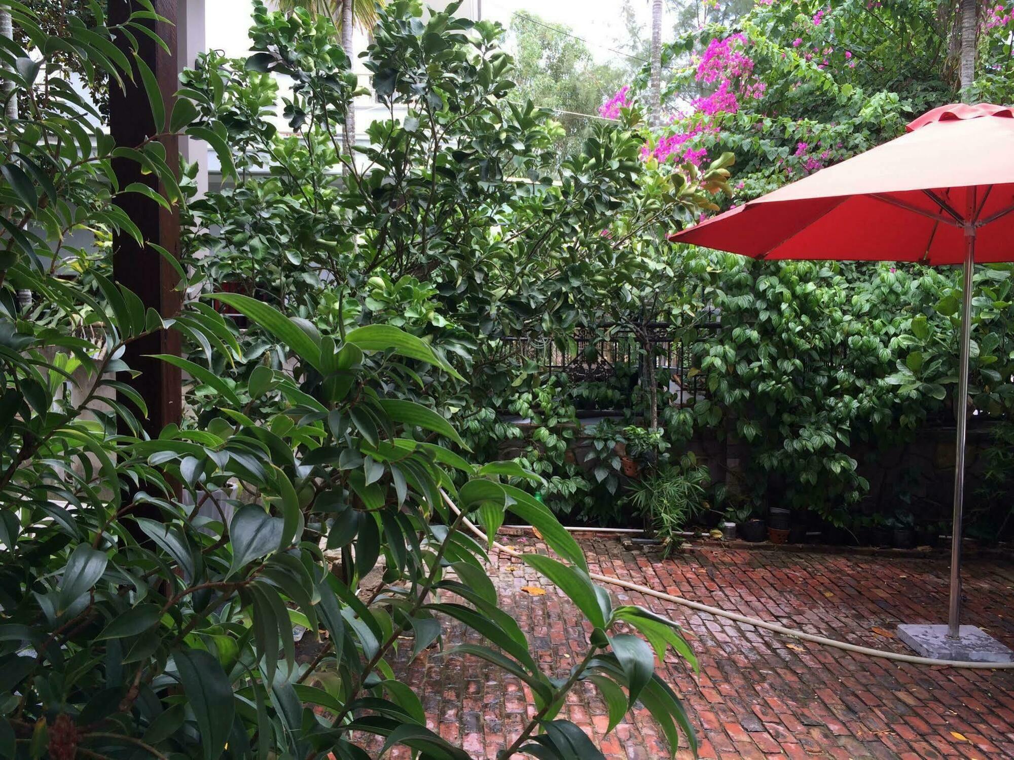 Mama'S House Hoi An Homestay Zewnętrze zdjęcie