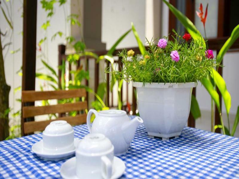 Mama'S House Hoi An Homestay Zewnętrze zdjęcie